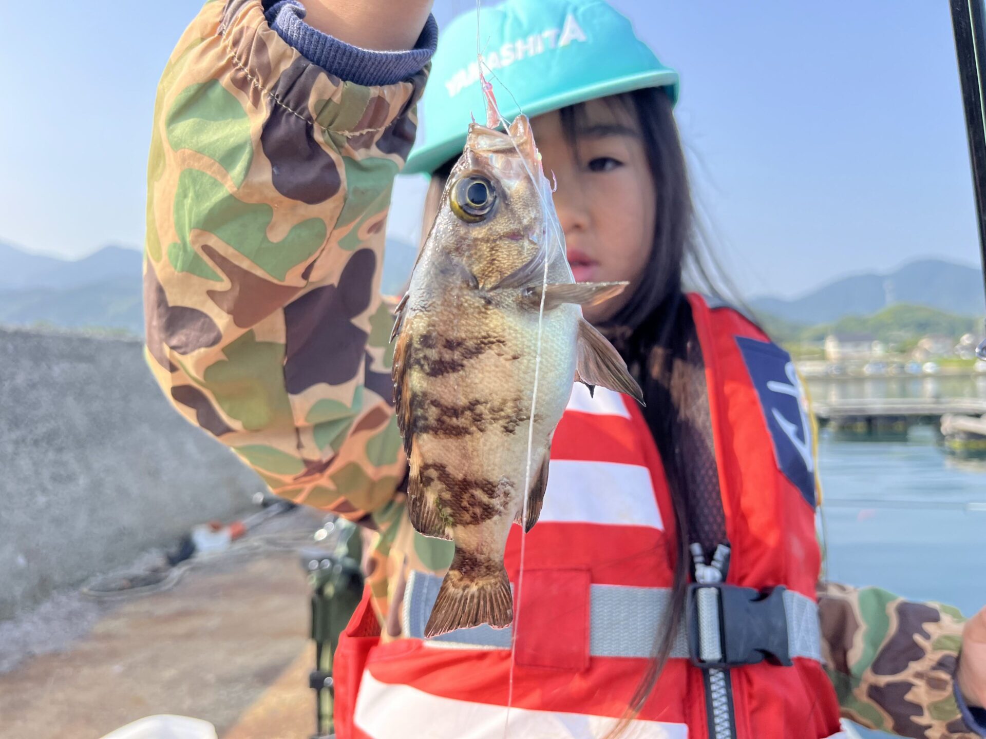初心者のためのサビキ釣り完全ガイド〜基本から応用まで〜